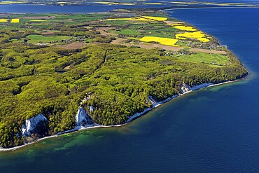 Chalk coast near Sassnitz, Island of Rügen, Königsstuhl and Victoria View, Jasmund National Park, Mecklenburg-Western Pomerania, Germany, aerial photo from a small aircraft, 27.04.2025  Chalk coast near Sassnitz, Königsstuhl and Victoria View, Jasmund National Park, Mecklenburg-Western Pomerania, aerial photo from a small aircraft, April 27, 2025 ++ Minimum fee 50, - euro ++