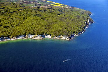 Chalk coast near Sassnitz, Island of Rügen, Jasmund National Park, Mecklenburg-Western Pomerania, Germany, aerial photo from a small aircraft, 27.04.2025  Chalk coast near Sassnitz, Jasmund National Park, Mecklenburg-Western Pomerania, aerial photo from a small aircraft, April 27, 2025 ++ Minimum fee 50, - euro ++