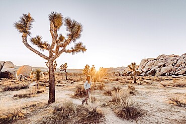 Woman at sunset in Joshua Tree National Park