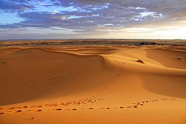 Endless sand dune landscape with footprints in the soft desert sand, sand dunes of Erg Chebbi, Erfoud, Middle Atlas, Morocco