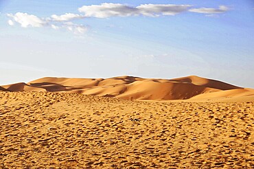 Endless expanse of sand dunes under a bright blue sky, sand dunes of Erg Chebbi, Erfoud, Middle Atlas, Morocco