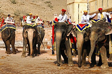 Fort Amber, Amber, near Jaipur, Rajasthan, North India, India, Asia, Colourful elephants sitting with people, traditional clothes, historical environment