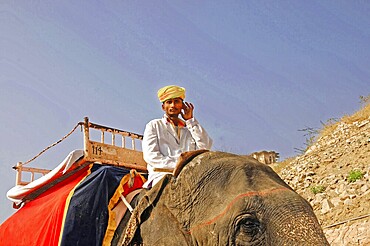 Fort Amber, Amber, near Jaipur, Rajasthan, North India, India, Asia, A man on an elephant, traditionally dressed, under a blue sky