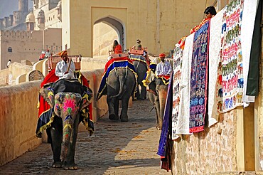 Fort Amber, Amber, near Jaipur, Rajasthan, North India, India, Asia, Elephants with traditional cloths and colourful tapestries next to ancient architecture