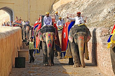 Fort Amber, Amber, near Jaipur, Rajasthan, North India, India, Asia, parade with elephants on historical path, bright colours, people dressed