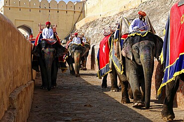 Fort Amber, Amber, near Jaipur, Rajasthan, North India, India, Asia, Elephants, decorated with colourful blankets and traditionally dressed people