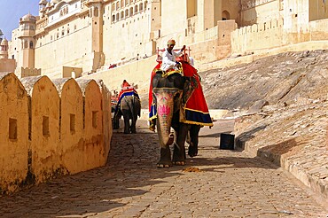 Fort Amber, Amber, near Jaipur, Rajasthan, North India, India, Asia, An elephant with rider on a stony path in front of a large, sand-coloured fortress