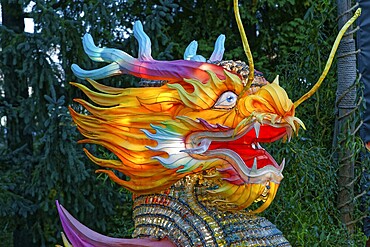 Dragon at the chinese illumination event, Botanical Garden, Montreal, Province of Quebec, Canada