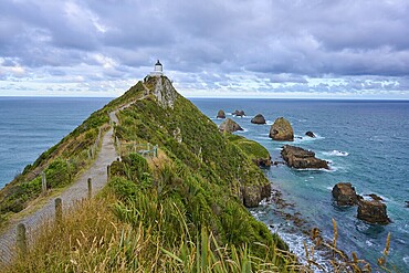A path leads to a lighthouse on a grassy hill on a rocky coast, summer, Nugget Point Lighthouse, Ahuriri Flat, Otago, South Island, New Zealand
