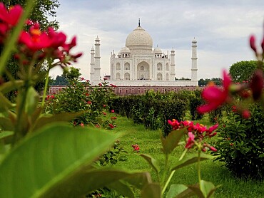 The Taj Mahal view through blooming red flowers in the manicured garden, Agra, Uttar Pradesh, India