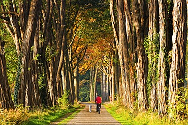 Cyclist with dog at his side, Lochem, Netherlands