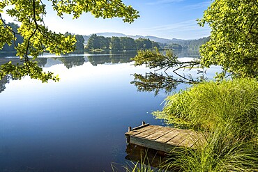 A jetty at Blaibacher See. Blaibach, district of Cham, Upper Palatinate, Bavarian Forest, Bavaria, Germany