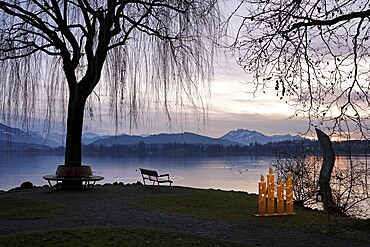 Evening mood at Lake Zug, Pilatus in the background, Cham, Canton Zug, Switzerland