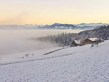 Farm in a freshly snow-covered landscape, behind the Alps with Rigi, Horben, Freiamt, Canton Aargau, Switzerland