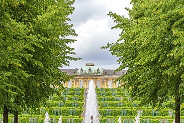 Garden with fountain, symmetrical steps and a castle in the background surrounded by lush greenery, potsdam, brandenburg, germany