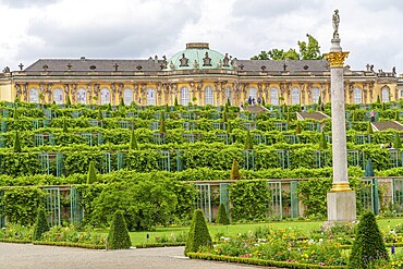 Baroque palace with imposing gardens and characteristic terraced vineyards, potsdam, brandenburg, germany