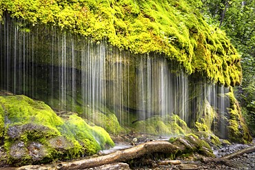 The Dietfurt waterfall, moss and stones, long exposure, Wutach Gorge, Black Forest, Baden-Württemberg, Germany