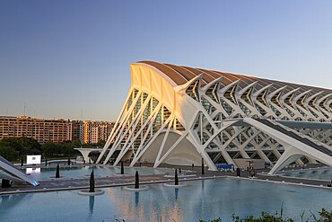 Science museum Prinz Philip, Ciutat de les Arts i les Ciències, landscaped park in the city centre, Valencia, Spain