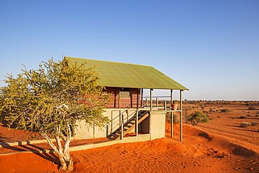 Some of the chalets of the Bagatelle Kalahari Game Ranch are built on top of a sand dune. Kalahari Desert, Namibia