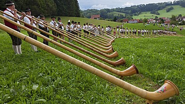 Musicians in traditional costumes playing alphorns on a green meadow in the foothills of the Alps, Engetried, Unterallgäu, Bavaria, Germany