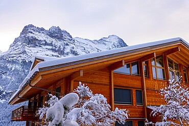 House and Mountain Peak Eiger in a Snowy Winter Day in Grindelwald, Bern Canton, Switzerland