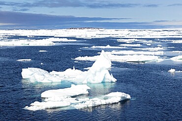 Drift ice, sea ice, sea, mountain range, Faksevagen, Spitsbergen, Svalbard
