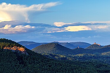 View of Trifels Castle and Anebos Castle, mixed forest, Annweiler, Pfläzerwald, Rhineland-Palatinate, Germany