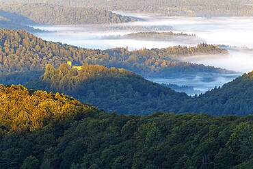 View over the Palatinate Forest, mixed forest, dawn, fog, Luipoldsturm, Hermansbergdorf, Pfläzerwald, Rhineland-Palatinate, Germany