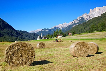 Hay field near Canazei, Canazei, Trentino-Alto Adige, Italy, Europe