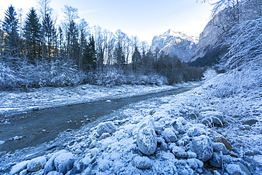 The Wetterhorn and frosted river, Grindelwald village, Jungfrau region, Bernese Oberland, Swiss Alps, Switzerland, Europe