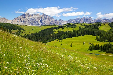 View from Col Alto, Corvara, Badia Valley, Bolzano Province, Trentino-Alto Adige/South Tyrol, Italian Dolomites, Italy, Europe