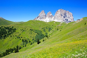 Sassolungo Group, Sella Pass, Trento and Bolzano Provinces, Italian Dolomites, Italy, Europe