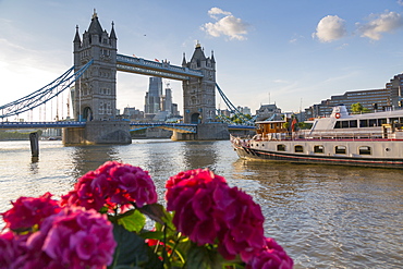 Tower Bridge and City of London skyline from Butler's Wharf, London, England, United Kingdom, Europe