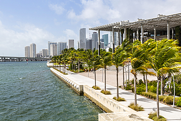 View of Downtown and Perez Art Museum from MacArthur Causeway, Miami Beach, Miami, Florida, United States of America, North America