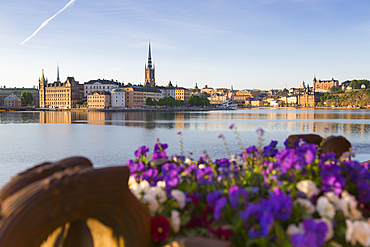 View of Riddarholmen and Sodermalm at dawn from near Town Hall, Stockholm, Sweden, Scandinavia, Europe