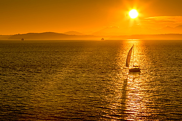 Sailing boat and sunset over Elliott Bay with Bainbridge Island visible on the horizon viewed from Bell Harbour Marina. Seattle, Washington State, United States of America, North America