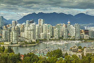 View of Vancouver skyline as viewed from Mount Pleasant District, Vancouver, British Columbia, Canada, North America