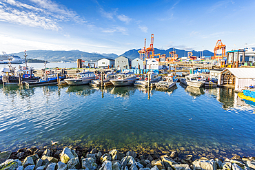 View of cruise ship and boats moored in harbour near CRAB Park at Portside, Vancouver, British Columbia, Canada, North America