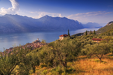 Elevated view of Castello Scaligero (Scaliger Castle), Malcesine, Lake Garda, Veneto, Italian Lakes, Italy, Europe