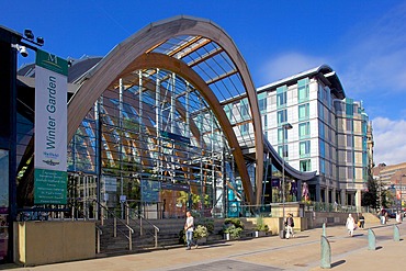 Winter Gardens, Sheffield, South Yorkshire, Yorkshire, England, United Kingdom, Europe