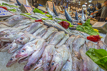 Interior view of fishmongers stall in Central Market, Monastiraki District, Athens, Greece, Europe