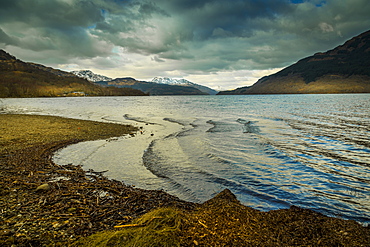 The shores of Loch Lomond in winter in the Loch Lomond and The Trossachs National Park, Stirling, Scotland, United Kingdom, Europe