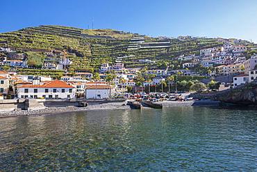 View of colourful houses overlooking harbour in Camara de Lobos, Madeira, Portugal, Atlantic, Europe