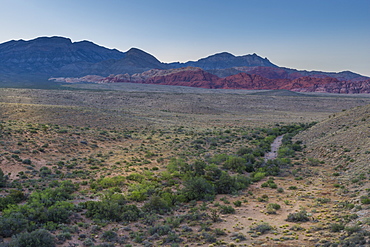 View of rock formations and flora in Red Rock Canyon National Recreation Area, Las Vegas, Nevada, United States of America, North America