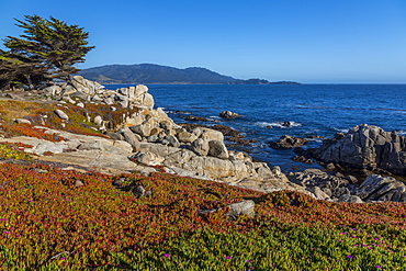 View of Carmel Bay and rocky shoreline at Pebble Beach, 17 Mile Drive, Peninsula, Monterey, California, United States of America, North America