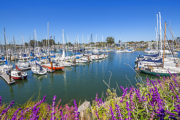 View of yachts at Santa Cruz Yacht Club, Santa Cruz, California, United States of America, North America