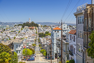 View of Coit Tower from Russian Hill, San Francisco, California, United States of America, North America