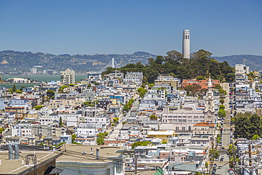 View of Coit Tower from Russian Hill, San Francisco, California, United States of America, North America