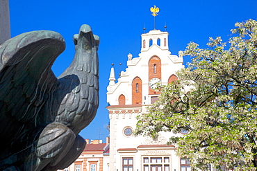 City Hall, Market Square, Old Town, Rzeszow, Poland, Europe