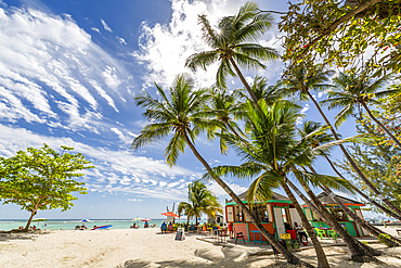 View of palm tree fringed Worthing Beach, Barbados, West Indies, Caribbean, Central America